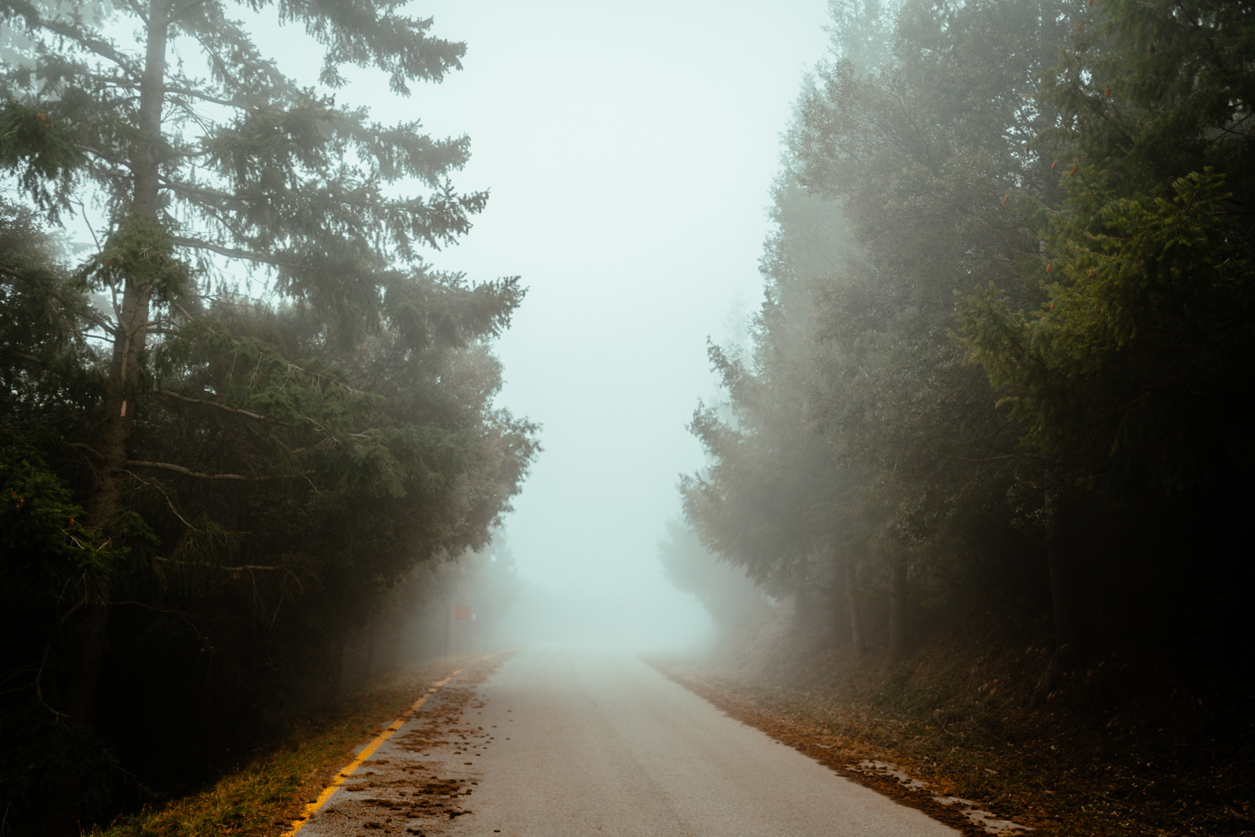 RaquelArtero Boira 12