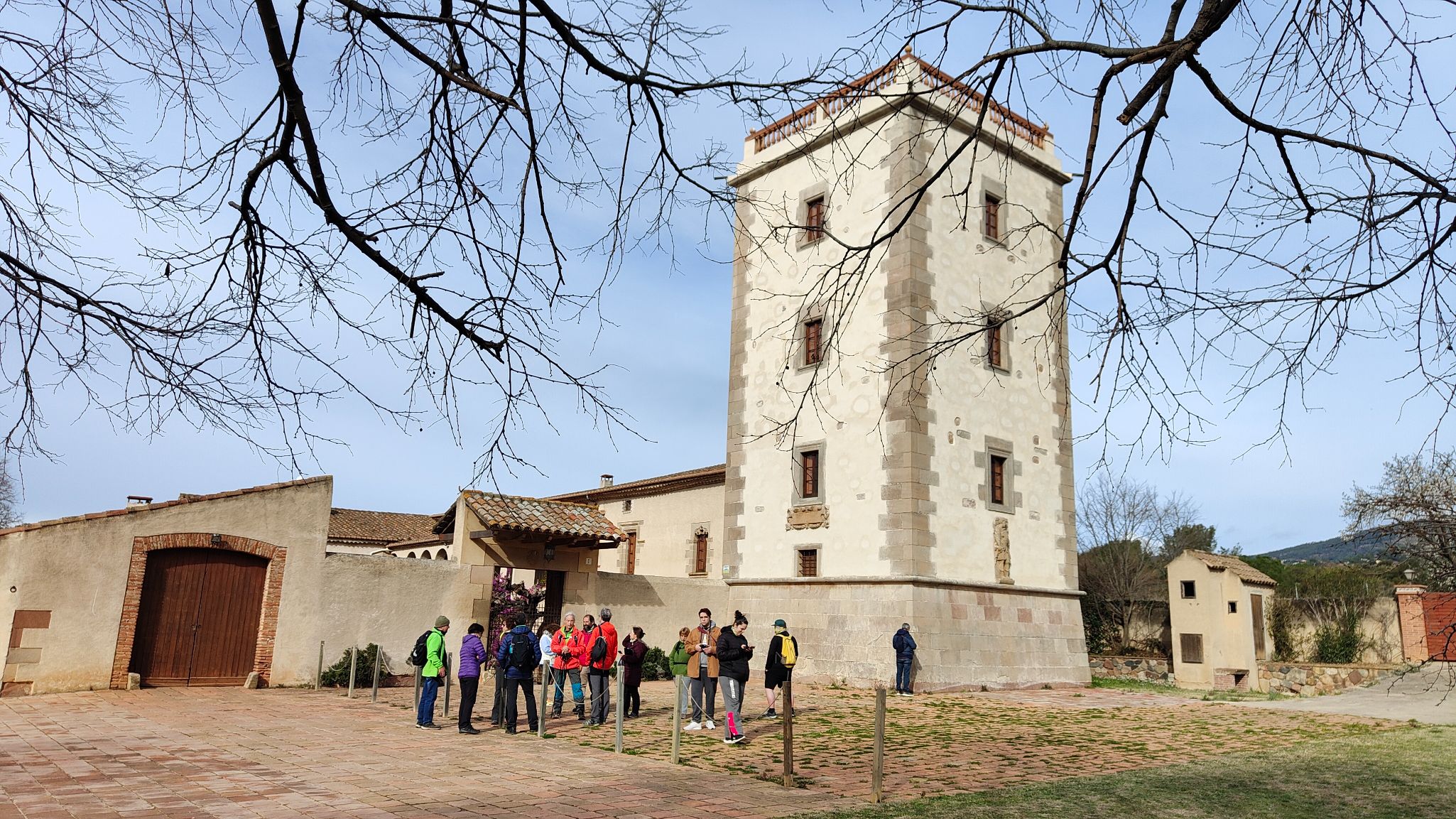 IMG20240225104301